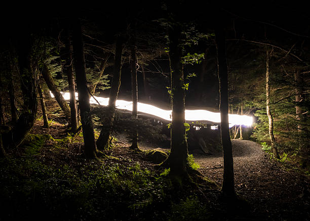 flash de luz na trilha dos apalaches - appalachian trail flash - fotografias e filmes do acervo