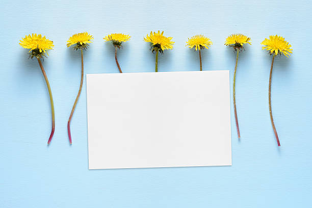 istock Dandelion flowers and blank card 545242656