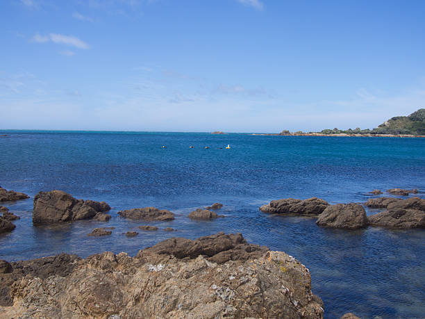 istock Rocky Wellington Coastline 545243104