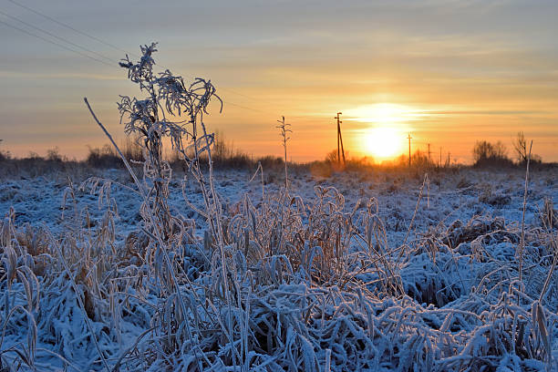 istock Golden sunset in the winter 545243522