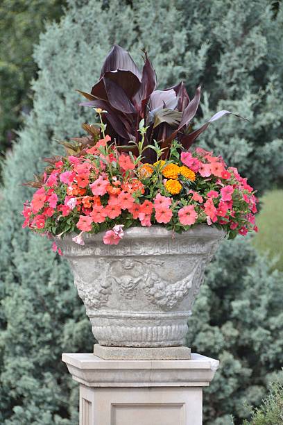 istock Outdoor Flower Vase 545244134