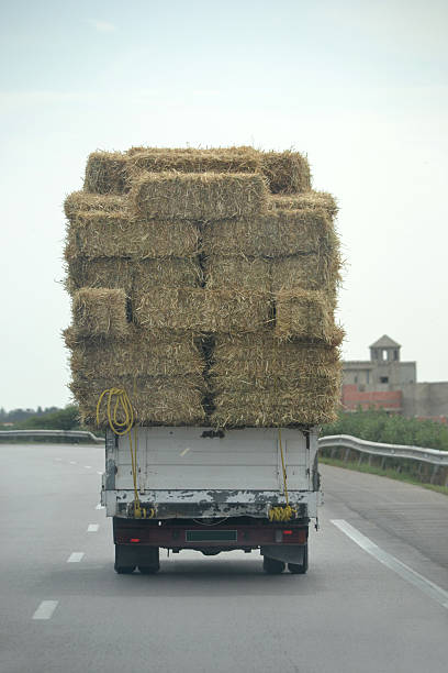 istock Truck with hay on a road 545245714