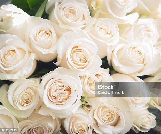 White Roses Background Nature Flowers Bouquet Stock Photo - Download Image Now - Rose - Flower, White Color, Anniversary