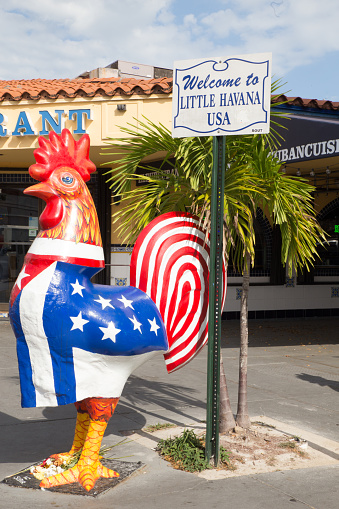 Miami, Florida, USA - April 25, 2016:  Colorful rooster statue along Calle Ocho in the Little Havana section of Miami. Home to many Cuban immigrants, Little Havana also serves as a notable tourist stop. 