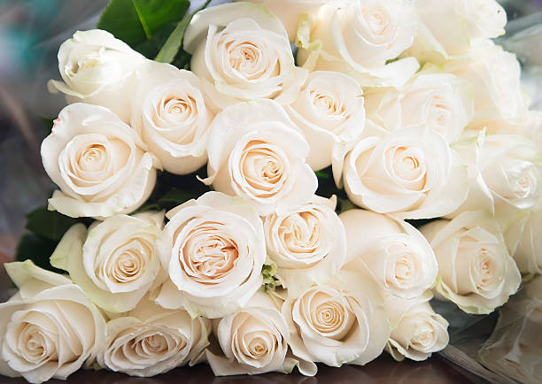 istock White roses background. Nature, flowers, bouquet 545248020