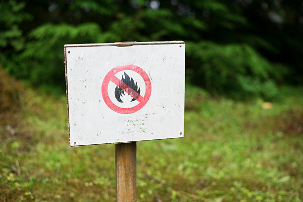 no fire allowed on posted sign in green forest area