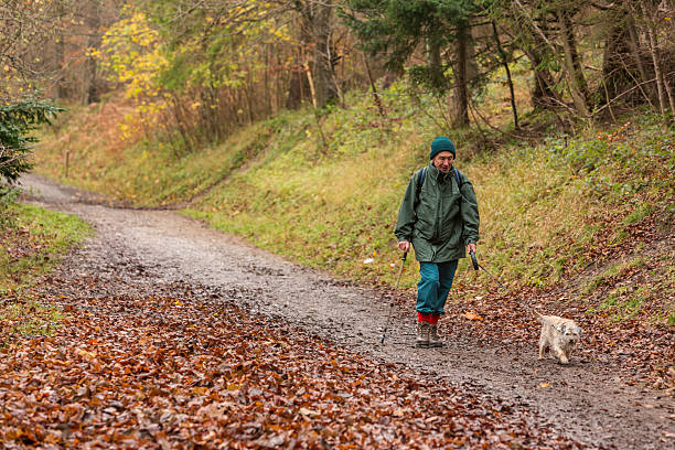 istock Active Senior Man Walking His Dog in a Foggy Forest 545248846