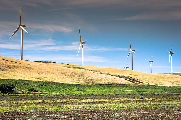 istock Windmills for electric power production 545249616