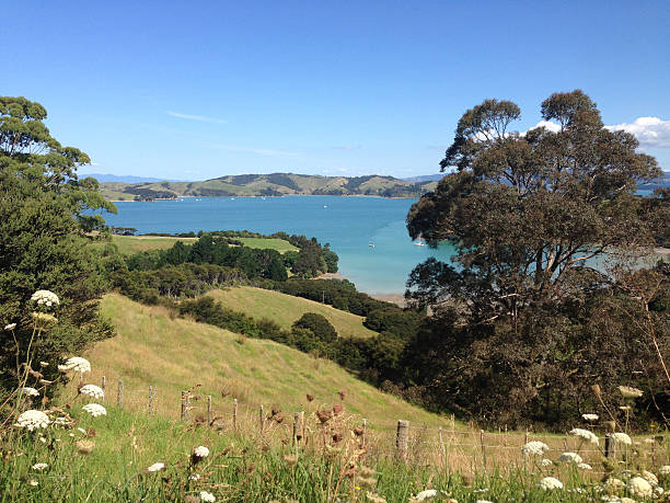istock View over Waiheke Island landscape 545250106