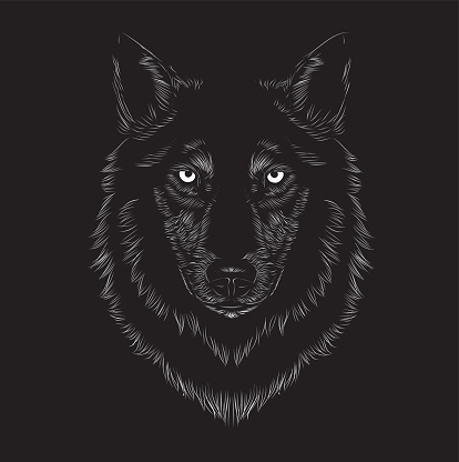 Wolf face, animal face, seriousness, serious, beast, werewolf, night, stare, staring, long fur, fur, dog, black, carnivorous, wild, t-shirt printing, eyes, native, wolves, ferocious, voracious, evil, mean, fear, devour, greedily, avid, hungry, hunter, chaser, hunting, 