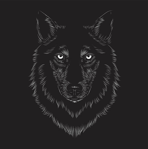 Wolf face Wolf face, animal face, seriousness, serious, beast, werewolf, night, stare, staring, long fur, fur, dog, black, carnivorous, wild, t-shirt printing, eyes, native, wolves, ferocious, voracious, evil, mean, fear, devour, greedily, avid, hungry, hunter, chaser, hunting, nasty dog stock illustrations