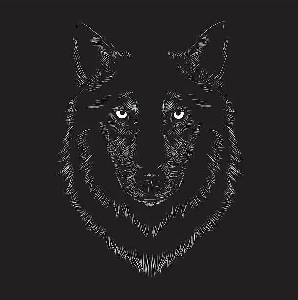 Vector illustration of Wolf face
