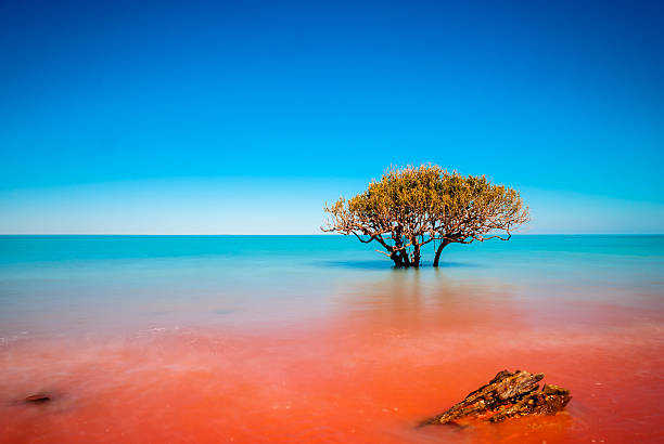 où la saleté rouge rencontre la mer - australian landscape photos et images de collection