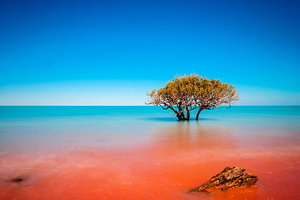Where the red dirt meets the sea Crab Creek in Broome is the epitome of where the red dirt meets the ocean. with a longer exposure and the crashing of the waves, the two have blended together to create a stunning effect. western australia photos stock pictures, royalty-free photos & images