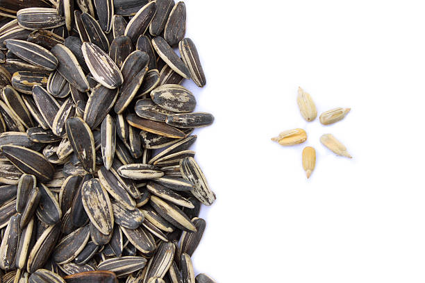 Sunflower grains and husked seeds stock photo