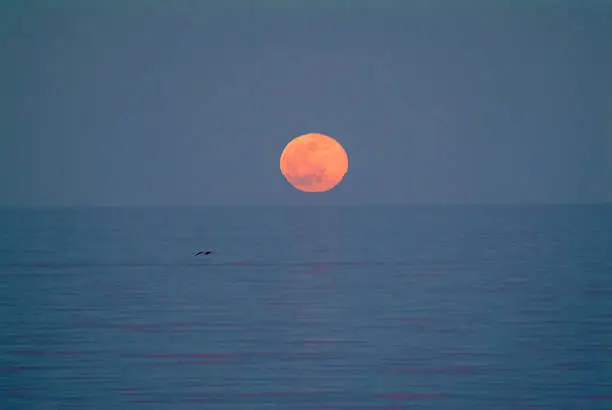 Photo of Moon over Sea of Cortez