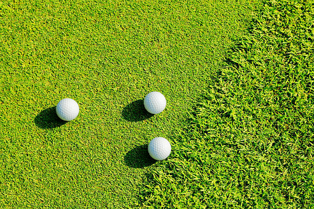 campo da golf  - bent foto e immagini stock