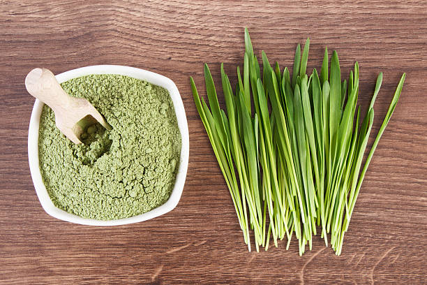 보리 잔디 및 산더미 젊은 파우다 보리, 시체 디톡스 - barley grass 뉴스 사진 이미지