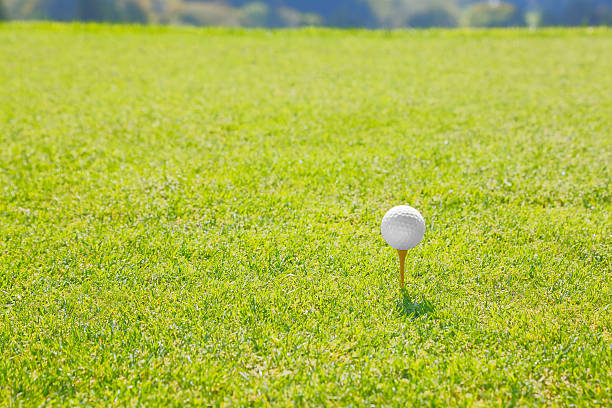 ゴルフゴルフコース - bent ストックフォトと画像