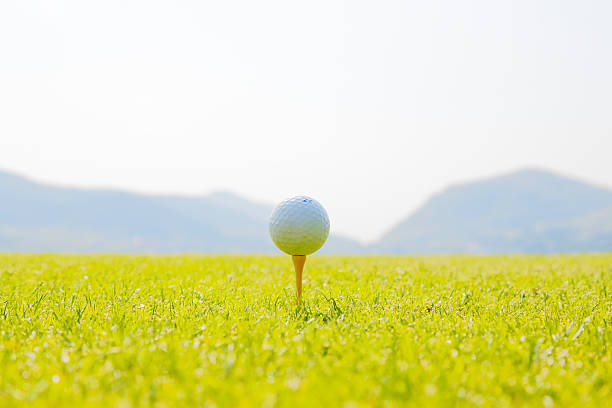 campo da golf  - bent foto e immagini stock