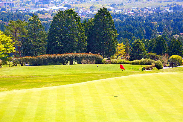 parcours de golf  - bent photos et images de collection