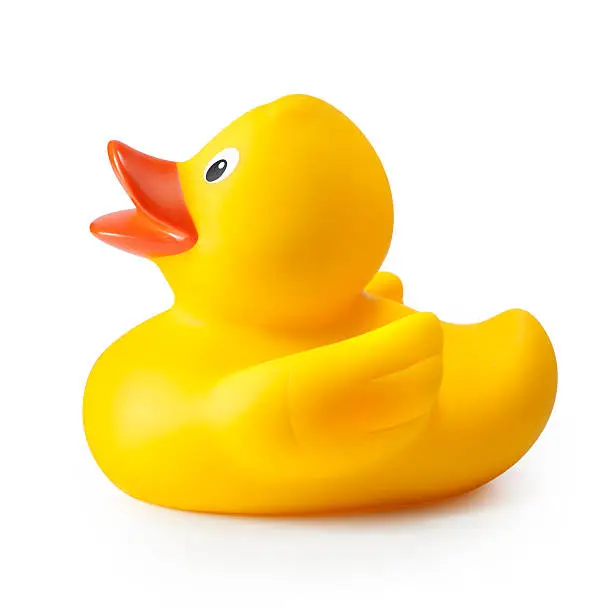 Yellow rubber duck. Photo with clipping path.