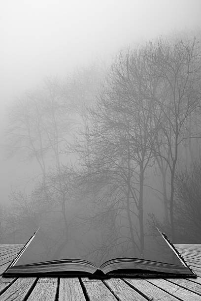 istock Moody dramatic foggy forest landscape Spring Autumn Fall 545256484