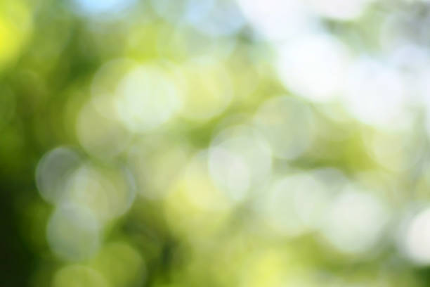 istock Defocused urban abstract texture background for your design ,blur 545256926