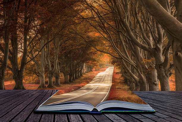 Stunning alternate colored surreal forest woodland landscape