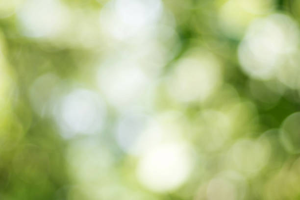 istock Defocused urban abstract texture background for your design ,blur 545257128