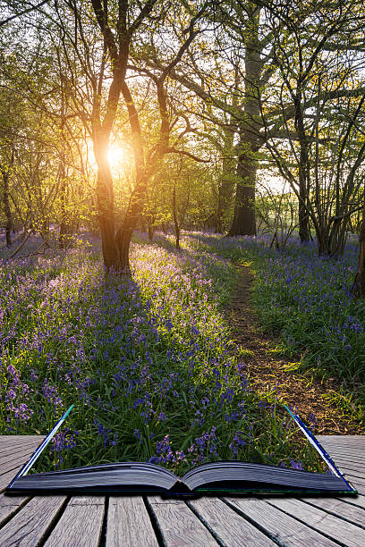 istock Stunning landscape image of bluebell forest in Spring 545257170