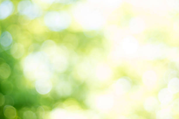 istock Defocused urban abstract texture background for your design ,blur 545257228