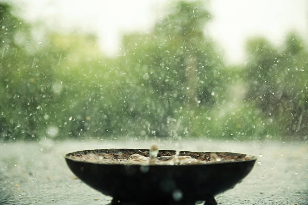 pluie tombant dans un bol vide - mousson photos et images de collection