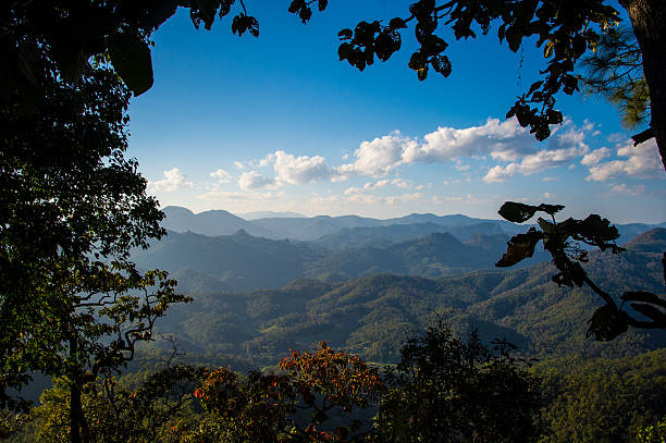 istock View of mountain forest landscape 545259266