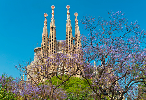 famous catholic cathedral and blooming trees on sunny day