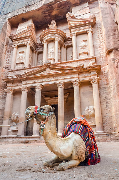 istock Camel resting in front of the treasury, Petra, Jordan 545270190