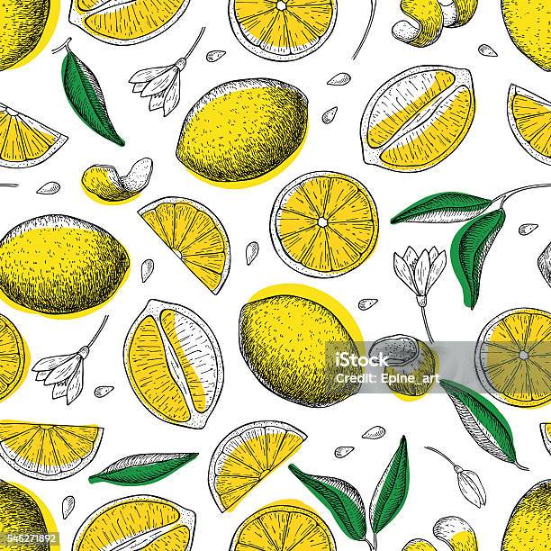 Lemon Vector Seamless Pattern Drawing Lemon Colorful Background Stock Illustration - Download Image Now