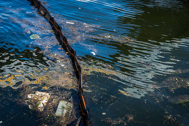 istock Oil and garbage pollution in the water. 545271988