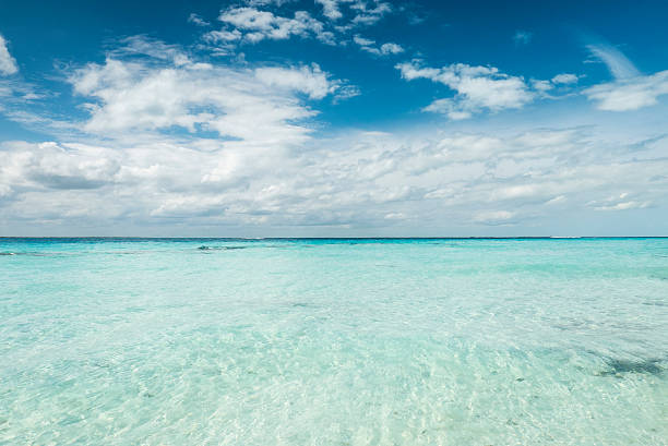 istock white tropical beach in the caribbean sea 545273714
