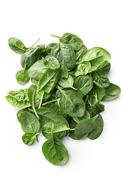 野菜：ホウレンソウ白の背景に隔てられた - spinach ストックフォトと画像