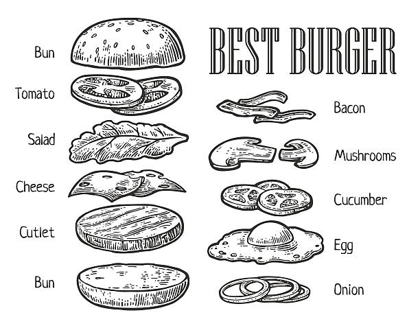 Burger ingredients. Vector vintage engraving illustration for menu Burger ingredients. Isolated painted components on white background. Vector vintage engraving illustration for poster, menu, web, banner, info graphic burger stock illustrations