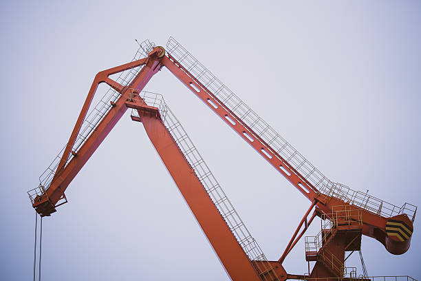 istock Close-up of crane 545276710