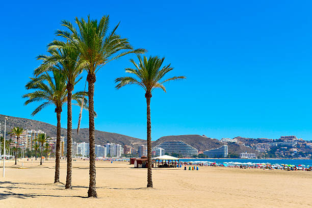 istock San Antonio Beach in Cullera, Spain 545276784