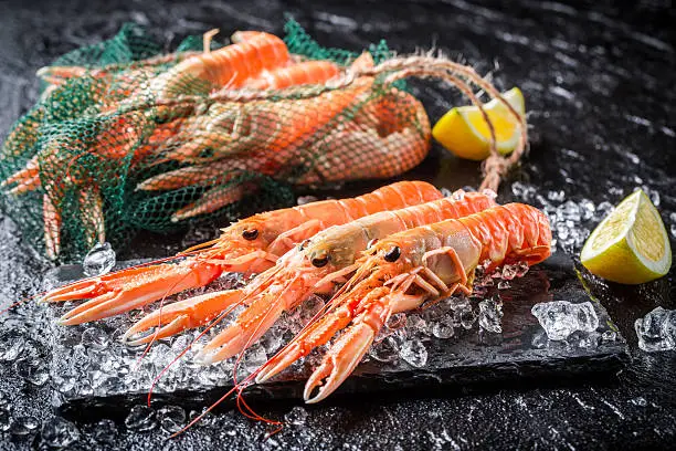 Fresh scampi on ice