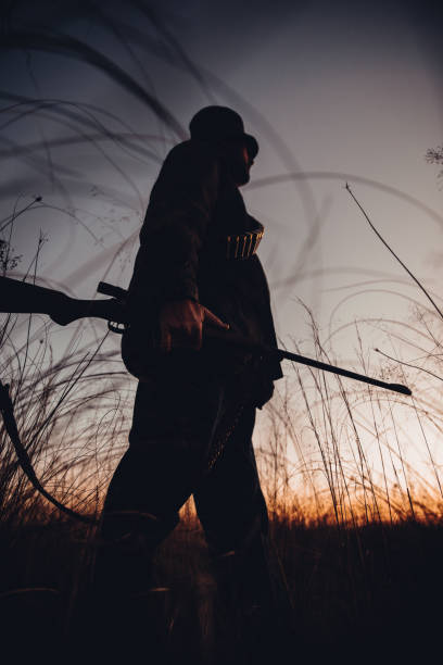 istock Hunter with cartridge observing grassland carrying shotgun 545278026