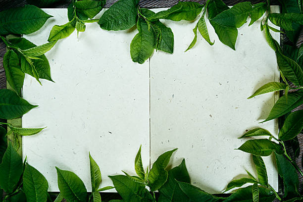 istock Green leaves on blank sketchbook. Frame green leaves. The presentation. 545279610