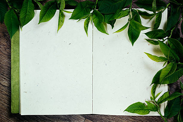 istock Green leaves on blank sketchbook. Frame green leaves. The presentation. 545281140