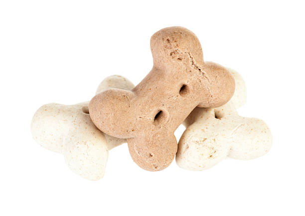 istock Dog treats isolated 545281608