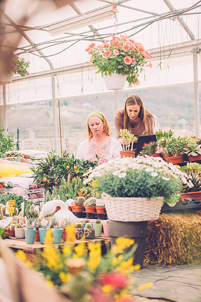 istock Greenhouse owner with a customer 545283764