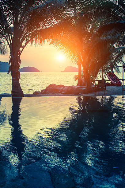 istock Beautiful sunset with tropical palm trees silhouette 545340448